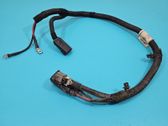 Gearbox/transmission wiring loom