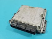 Engine control unit/module ECU