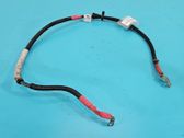 Other wiring loom