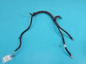 Other wiring loom