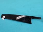 Rear door trim (molding)
