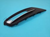 Front fog light trim/grill