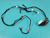 Rear door wiring loom