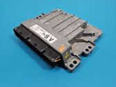 Engine control unit/module ECU