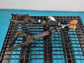 Front shock absorber/damper