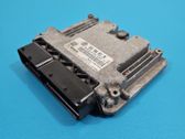 Engine control unit/module ECU