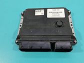 Engine control unit/module ECU
