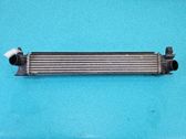 Radiador intercooler