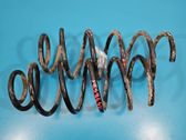 Front coil spring