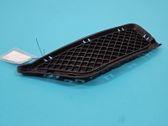 Front fog light trim/grill