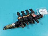 LP gas injector
