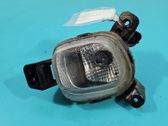 Front fog light