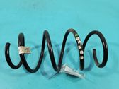 Front coil spring