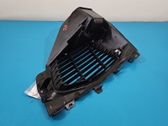 Front fog light trim/grill