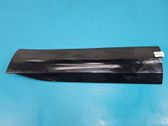 Front door trim (molding)