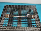 Rear driveshaft
