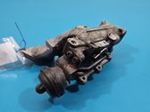 Throttle body valve