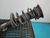 Front coil spring