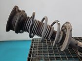 Front coil spring