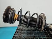 Front coil spring