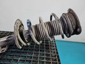 Front coil spring