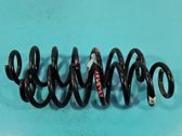 Rear coil spring