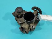 Throttle body valve