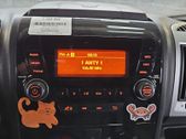 Radio/CD/DVD/GPS head unit