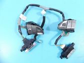 Multifunctional control switch/knob