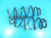 Front coil spring