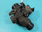 Throttle body valve