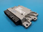 Engine control unit/module ECU