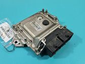 Engine control unit/module ECU