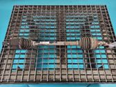 Rear driveshaft