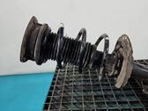 Front coil spring