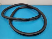 Front door rubber seal