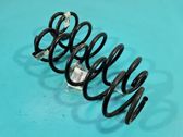 Rear coil spring