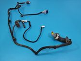 Rear door wiring loom