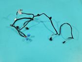 Rear door wiring loom