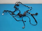 Rear door wiring loom
