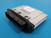 Engine control unit/module ECU