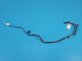 Other wiring loom