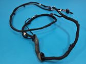 Tailgate/trunk wiring harness
