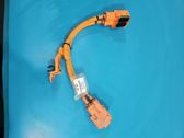 Other wiring loom