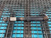 Rear shock absorber/damper