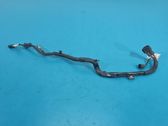 Gearbox/transmission wiring loom