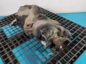 Rear differential