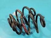 Rear coil spring