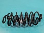 Muelle espiral trasero
