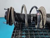 Front coil spring